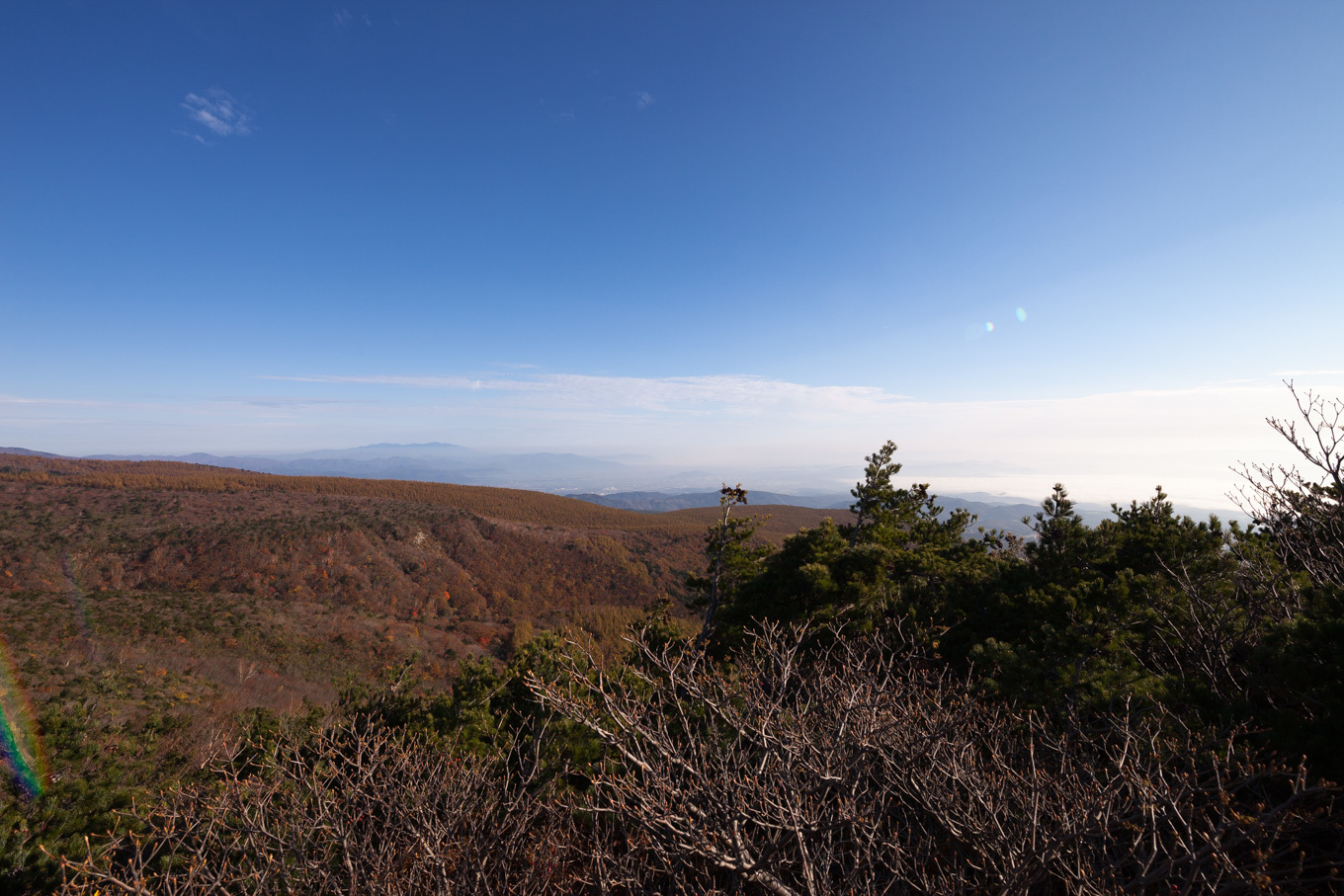 c0369219_22325164.jpg