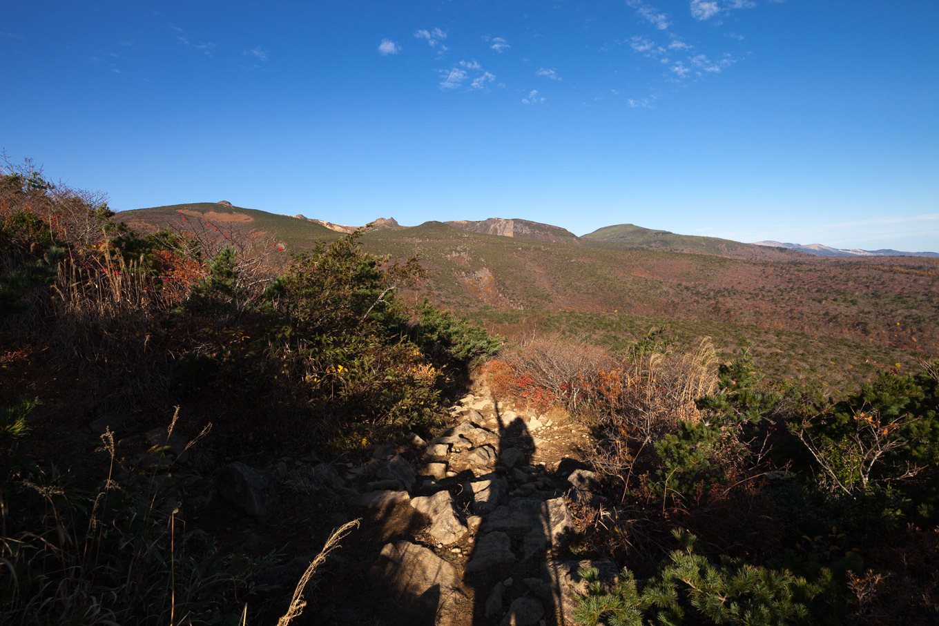 c0369219_22373644.jpg
