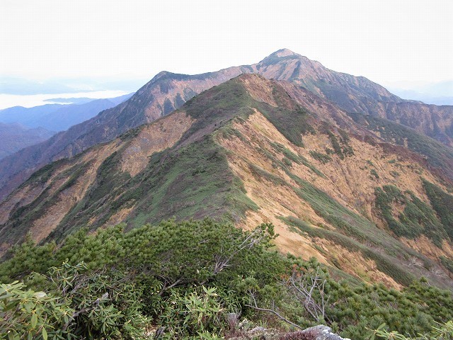 南魚沼市 ひとりぼっちの越後三山縦走 中ノ岳と駒ケ岳から紅葉の