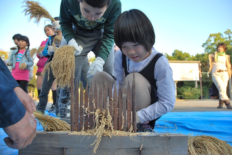 護国さんの田んぼー29 脱穀からいただきます!_f0067122_11263026.jpg
