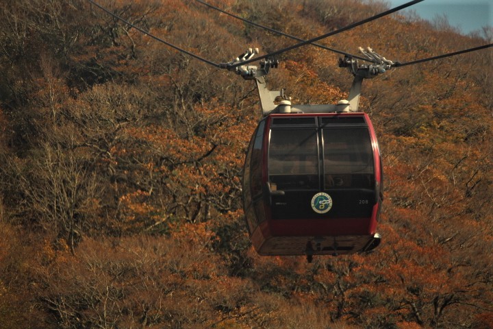 紅葉の箱根ゴールデン周遊☆彡_f0354923_23422096.jpg