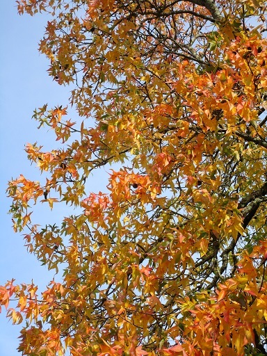 b0381325_22114154.jpg