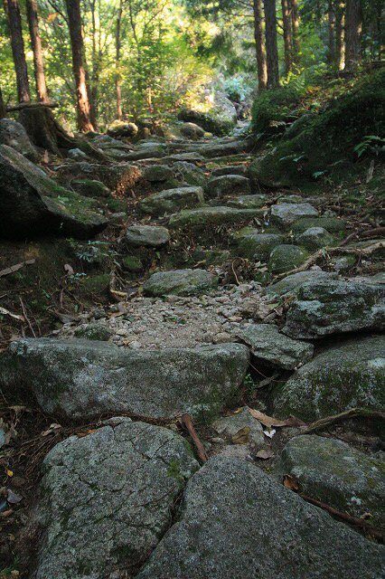 第11回熊野古道写真学校記録 (その4)_e0321325_15352836.jpg