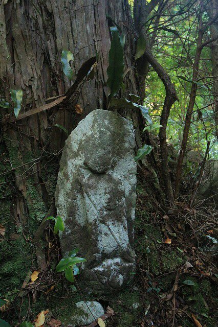 第11回熊野古道写真学校記録 (その4)_e0321325_15370536.jpg