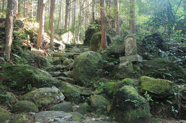 第11回熊野古道写真学校記録 (その4)_e0321325_15384660.jpg