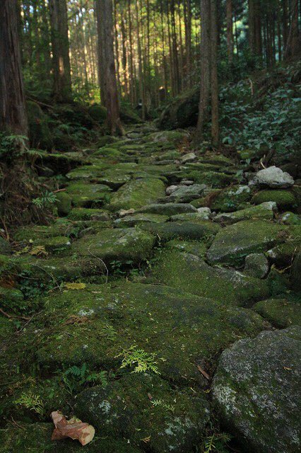 第11回熊野古道写真学校記録 (その4)_e0321325_15390318.jpg