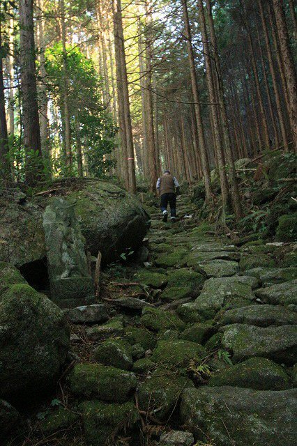 第11回熊野古道写真学校記録 (その4)_e0321325_15421967.jpg