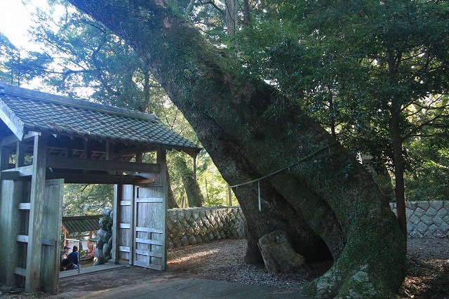 第11回熊野古道写真学校記録 (その4)_e0321325_15505394.jpg