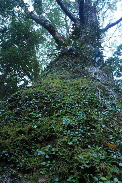 第11回熊野古道写真学校記録 (その5)_e0321325_19114115.jpg