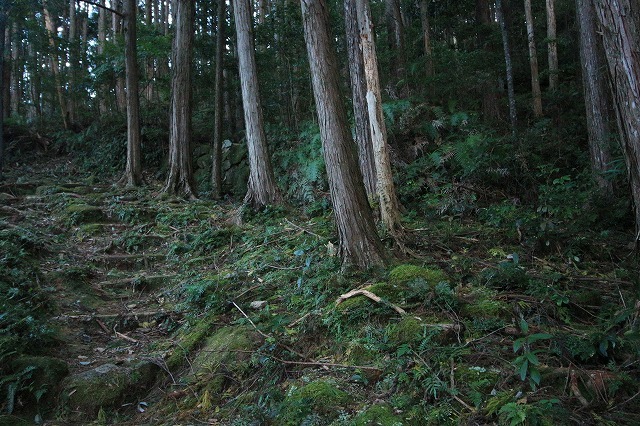 第11回熊野古道写真学校記録 (その5)_e0321325_19121923.jpg