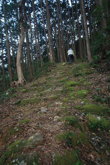 第11回熊野古道写真学校記録 (その5)_e0321325_19125053.jpg