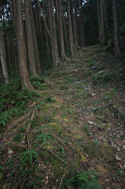 第11回熊野古道写真学校記録 (その5)_e0321325_19134923.jpg