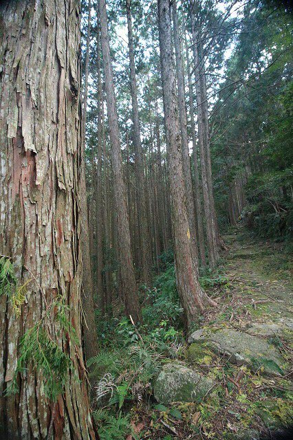 第11回熊野古道写真学校記録 (その5)_e0321325_19163637.jpg
