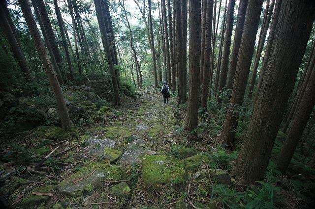 第11回熊野古道写真学校記録 (その5)_e0321325_19172400.jpg