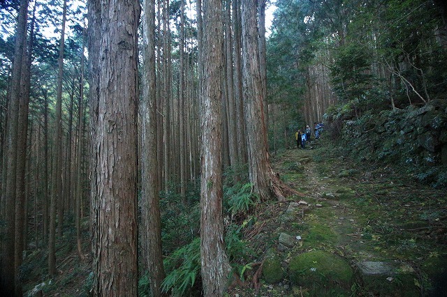 第11回熊野古道写真学校記録 (その5)_e0321325_19174148.jpg