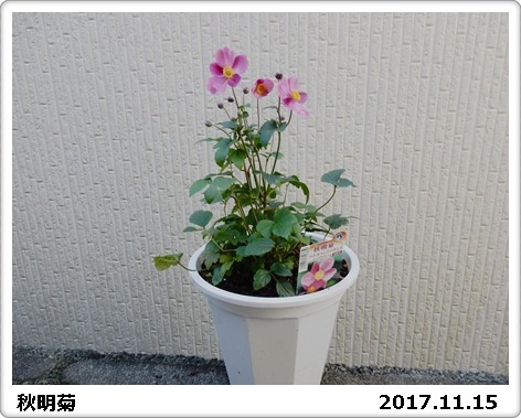 e0033229_18193591.jpg