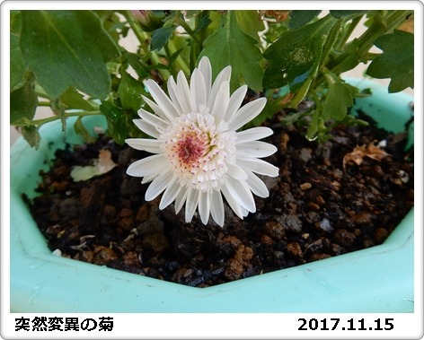 e0033229_18231153.jpg