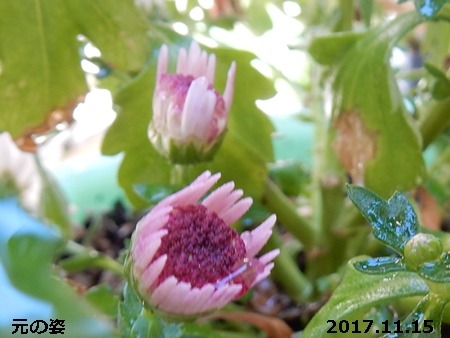 e0033229_18241273.jpg