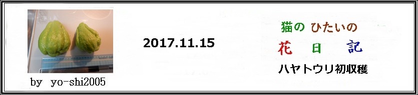 e0033229_1875215.jpg