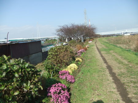 b0137932_17130236.jpg