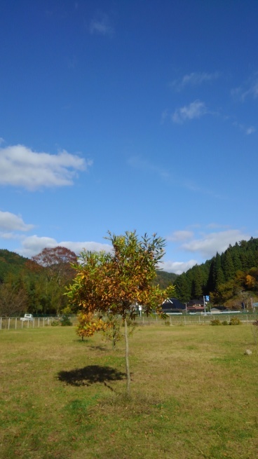 c0236632_15560650.jpg