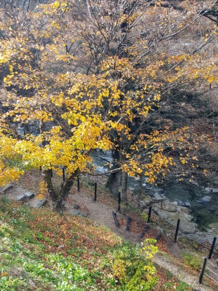 d0269832_07222597.jpeg