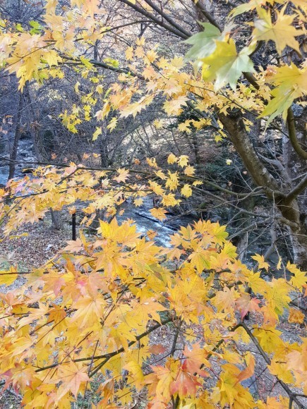 d0269832_07231182.jpeg