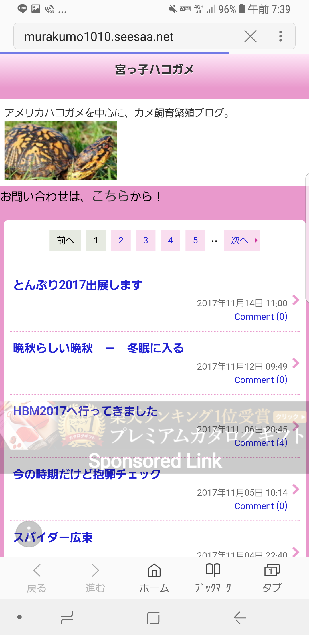 c0362635_08032750.png