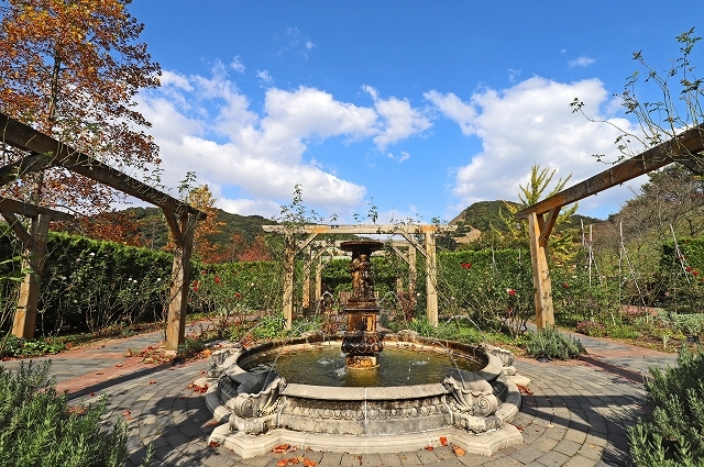 深山イギリス庭園 後編 11月4日 夢民谷住人の日記4