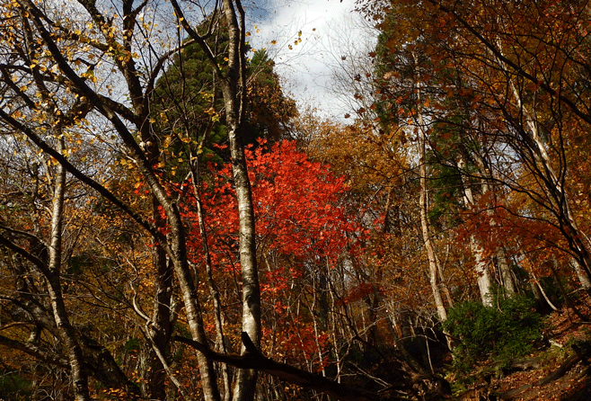 e0371039_1633514.gif
