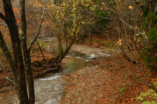 e0371039_1635940.gif