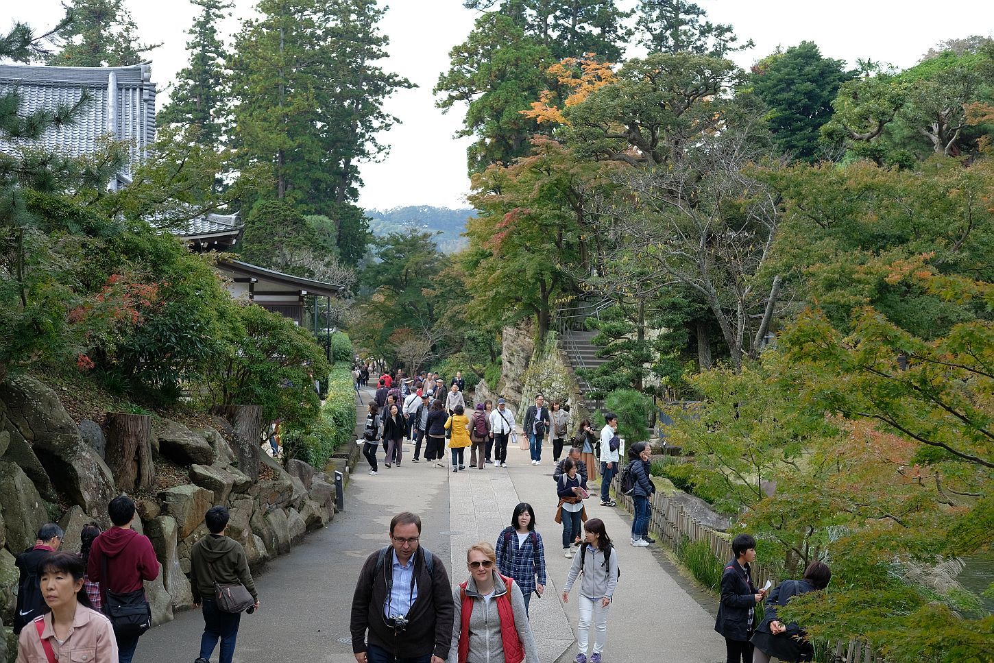 円覚寺 境内　（神奈川県 鎌倉市）　_b0212342_12364779.jpg