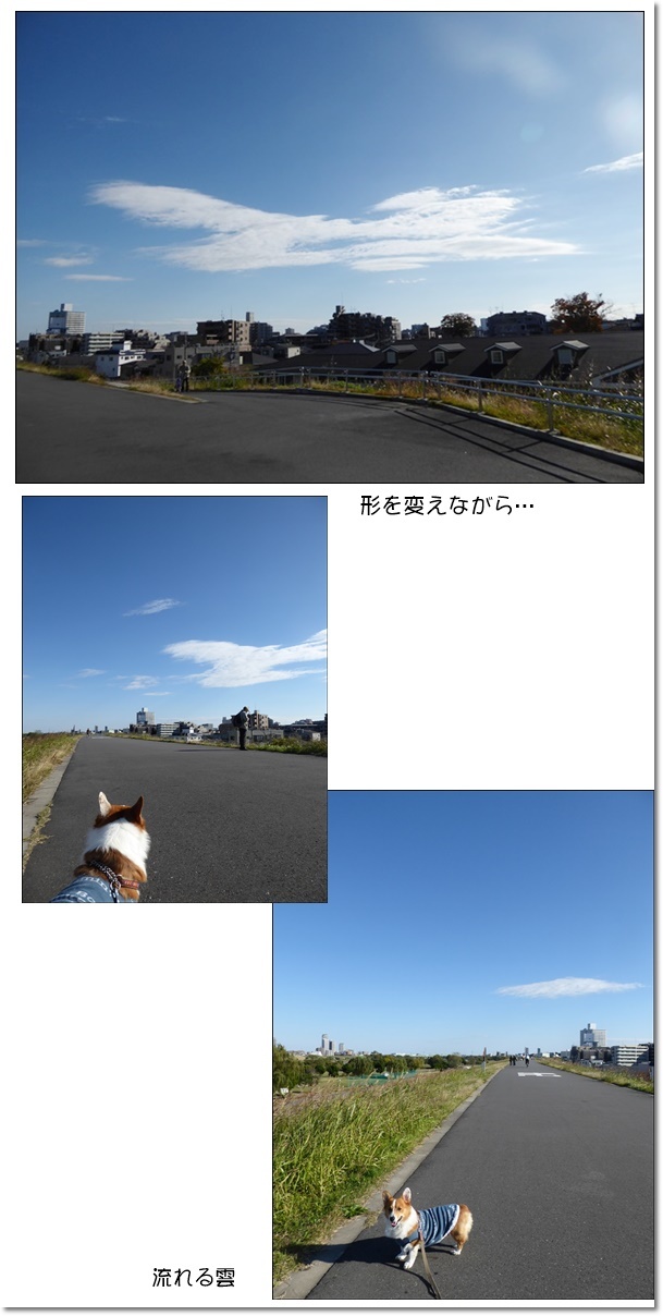 c0128342_21013291.jpg
