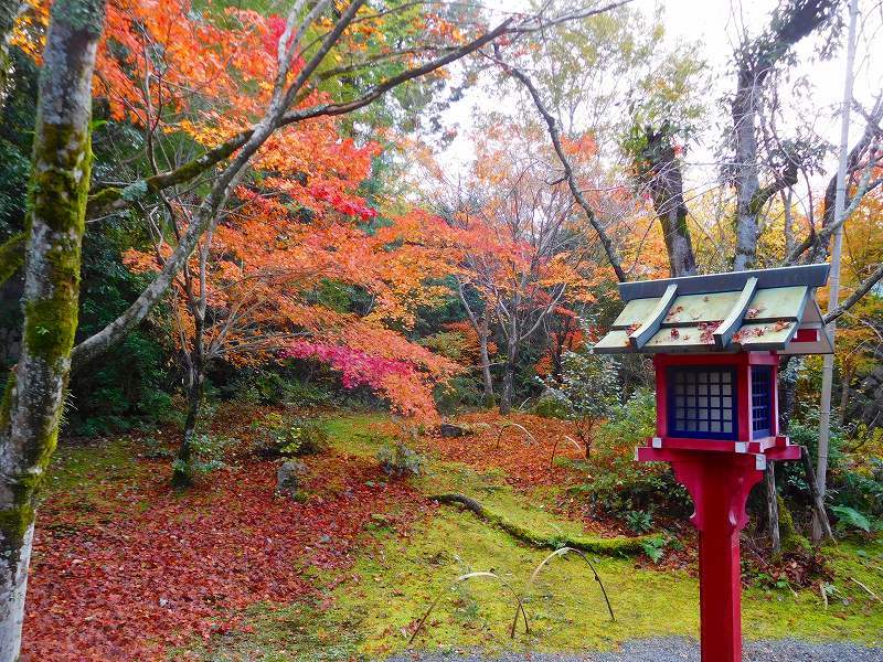 吉野大夫ゆかりの鷹峯「常照寺」20171115_e0237645_22505399.jpg