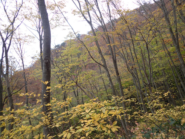 f0214649_05543760.jpg