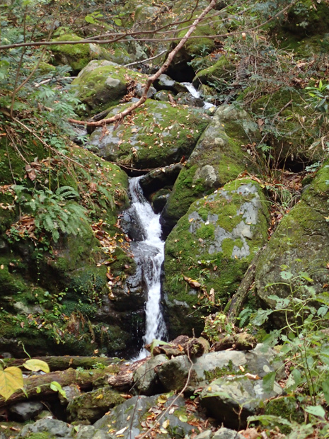 f0214649_05552618.jpg