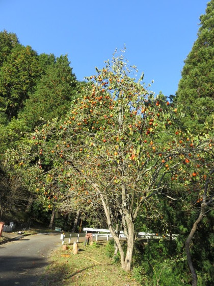 c0367054_21094736.jpg