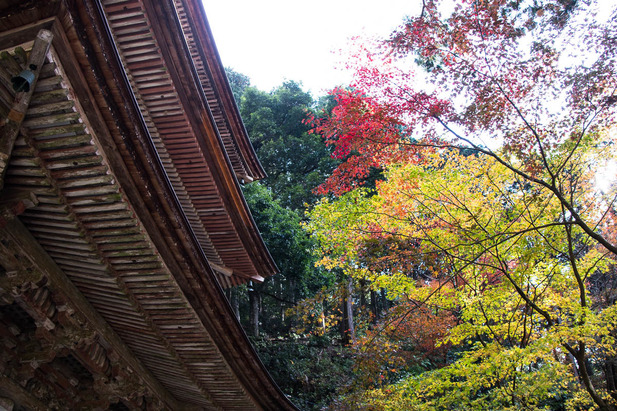 両界山横蔵寺の紅葉　001_f0371554_19595074.jpg