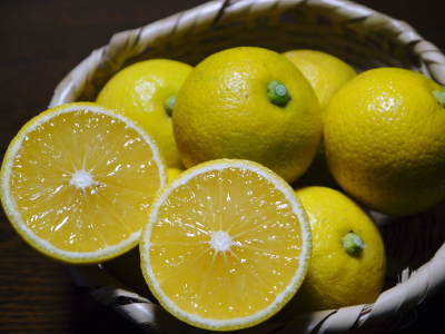 種なしかぼす 秋深まり、かぼすもすっかり色付きました!香り際立つ“ゴールド”種なしかぼす大好評販売中!_a0254656_16271716.jpg