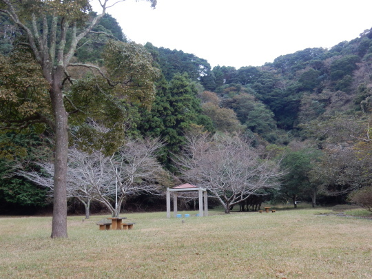 ’17,11,15(水)サザンカの咲く公園とチーズフォンデュ!_f0060461_10470004.jpg