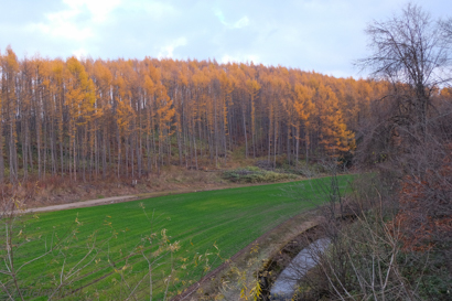d0340565_19312877.jpg