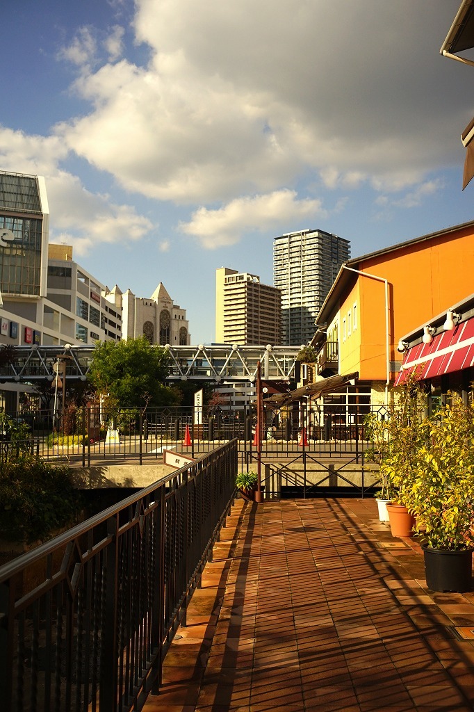 c0362972_22514428.jpg