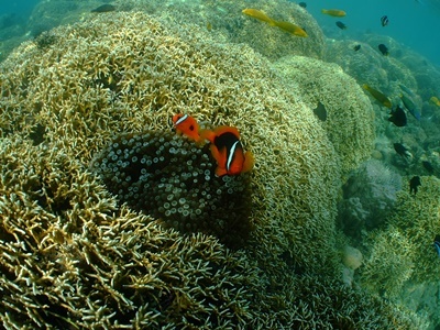 b0033573_22205273.jpg