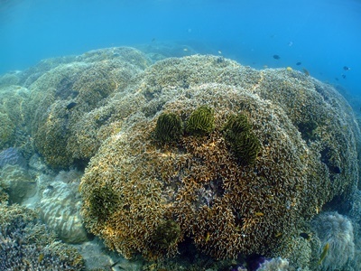 b0033573_22210757.jpg