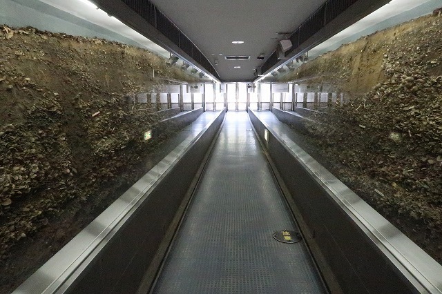 e0339873_21333729.jpg