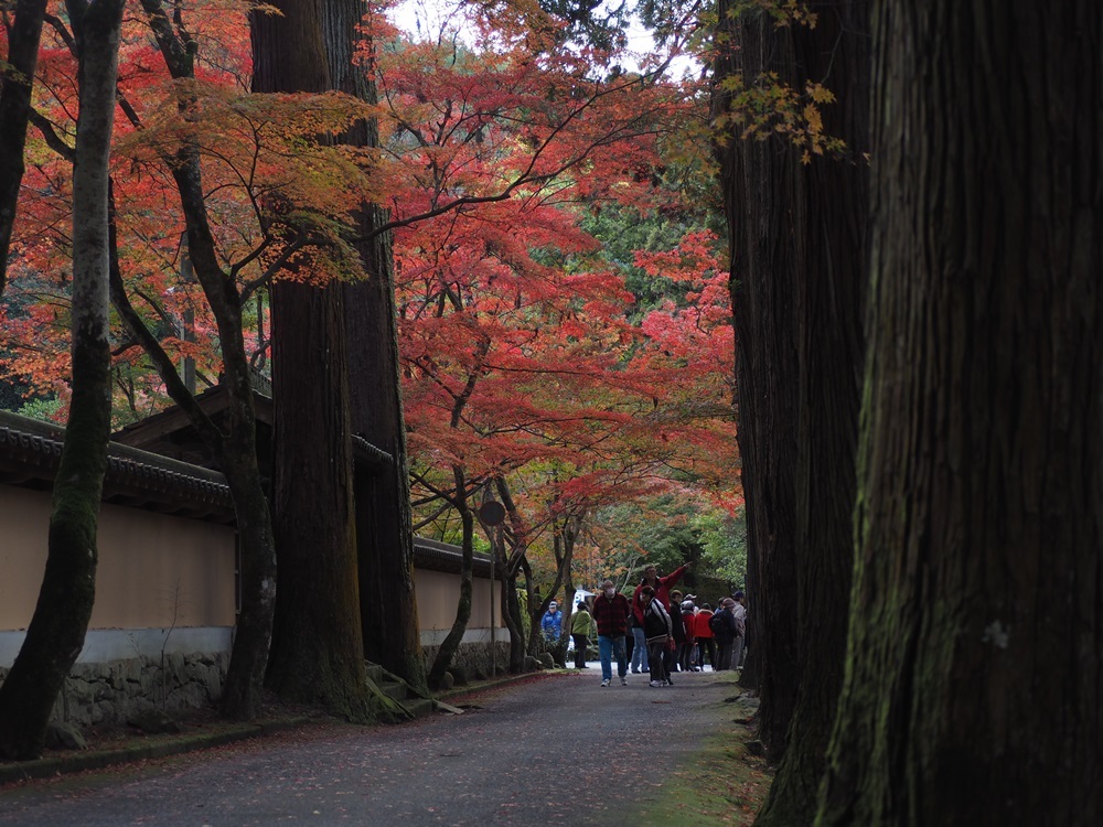 佛通寺3_e0264374_15114061.jpg