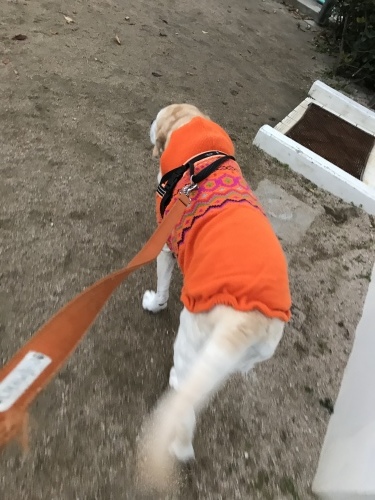 f0315081_21450463.jpeg