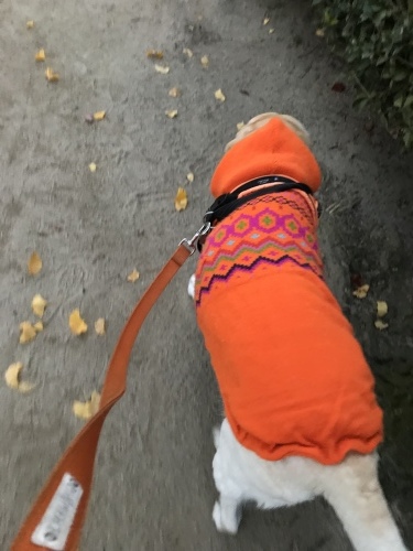 f0315081_21471652.jpeg