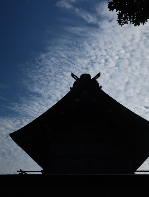 秋、出雲路 ～神魂神社・出雲大社_d0098183_17150212.jpg