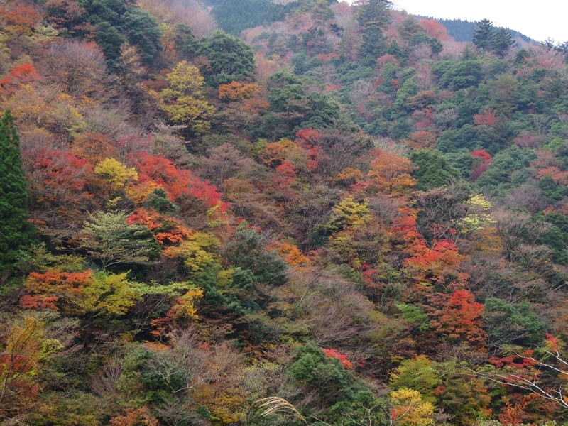 f0357487_20043915.jpg